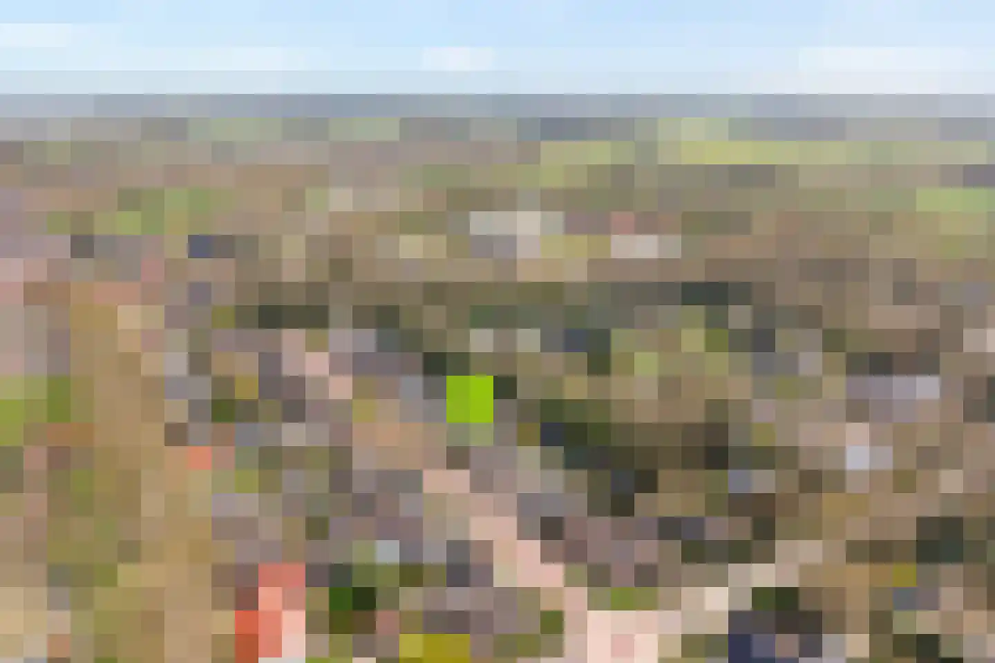 Berkenlaan 17 Hardenberg thumbnail 65