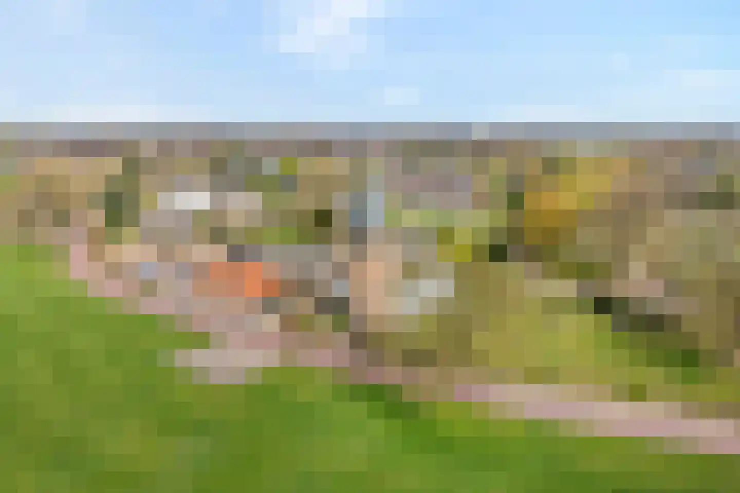 Berkenlaan 17 Hardenberg thumbnail 66