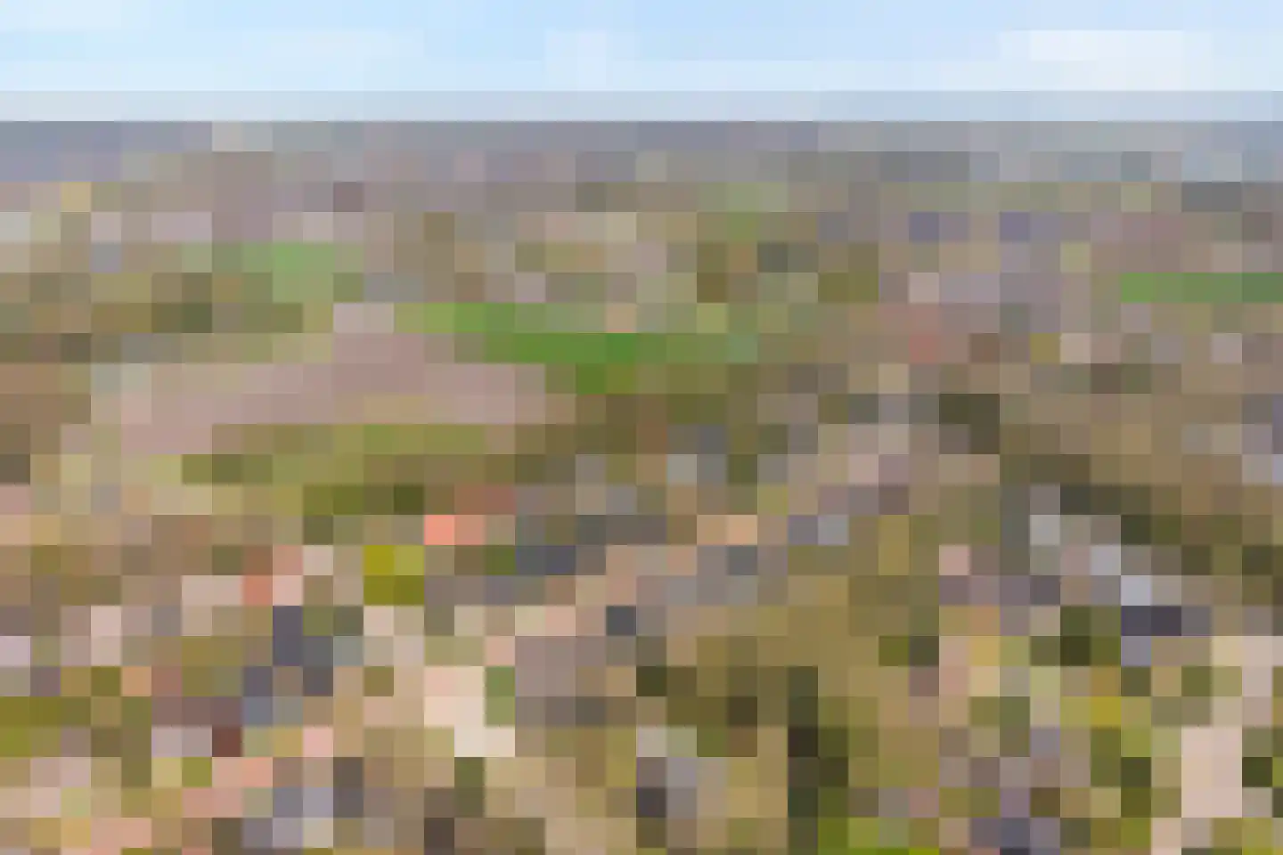 Berkenlaan 17 Hardenberg thumbnail 67