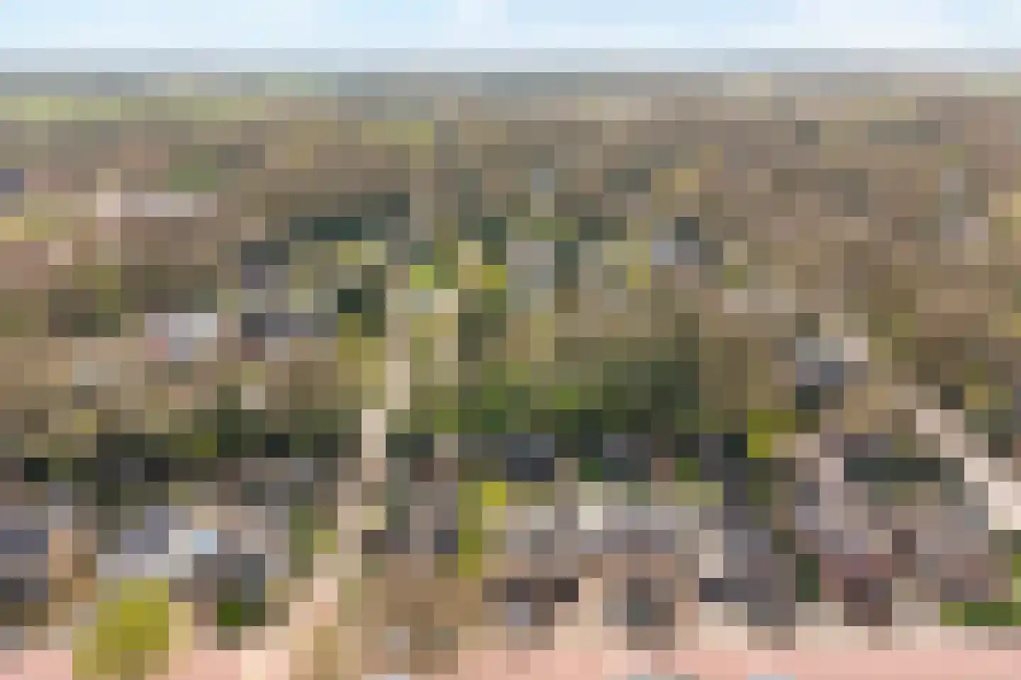 Berkenlaan 17 Hardenberg thumbnail 68