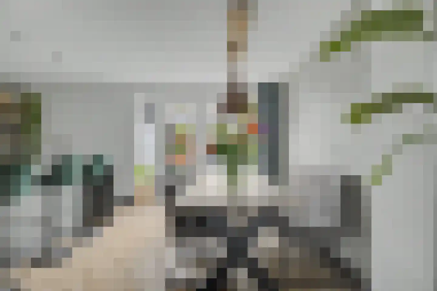 Berkenlaan 17 Hoogland thumbnail 10
