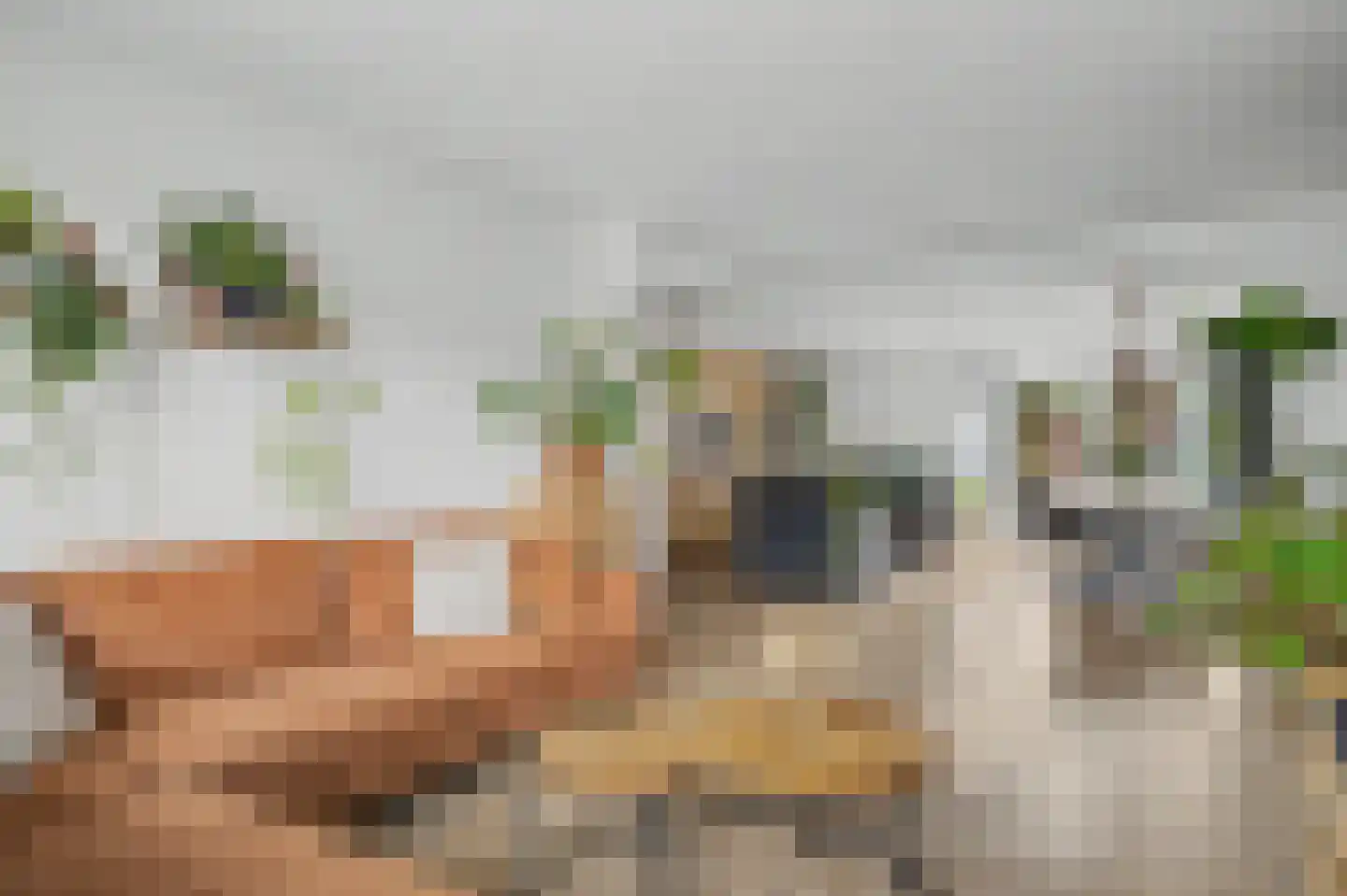 Berkenlaan 17 Hoogland thumbnail 13