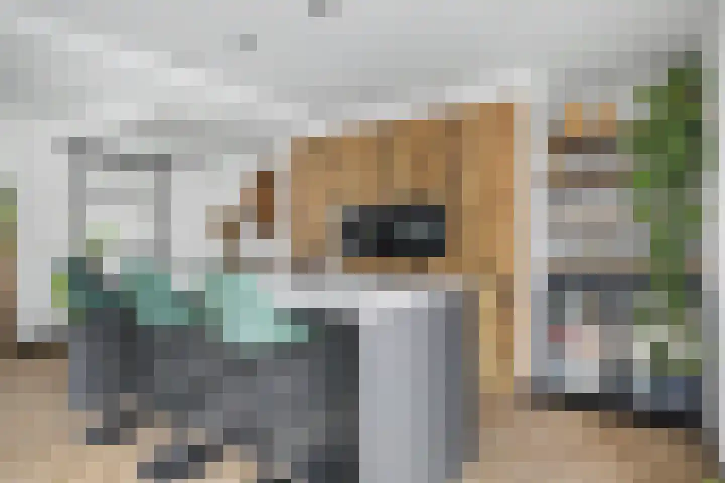 Berkenlaan 17 Hoogland thumbnail 14