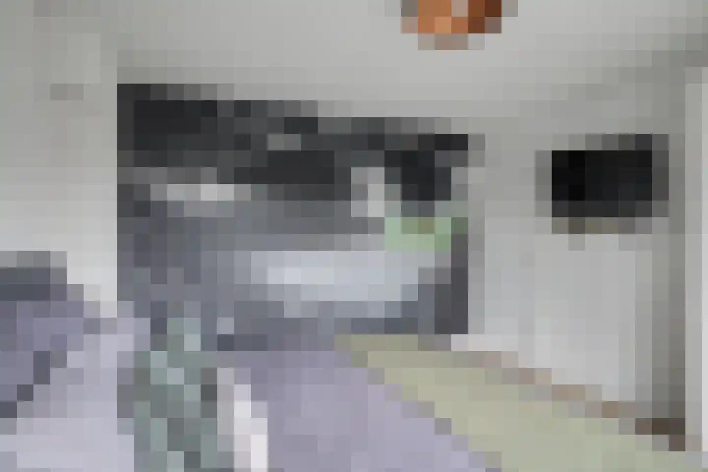 Berkenlaan 17 Hoogland thumbnail 24