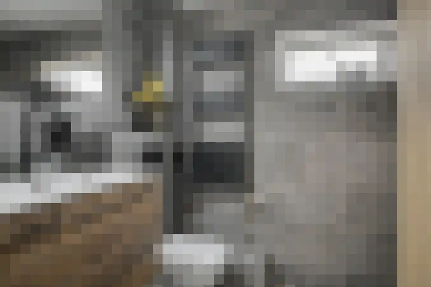 Berkenlaan 17 Hoogland thumbnail 27