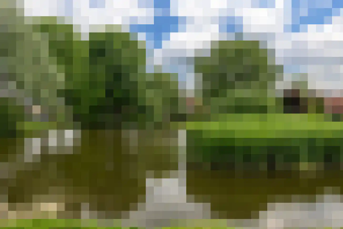 Berkenlaan 17 Hoogland thumbnail 40