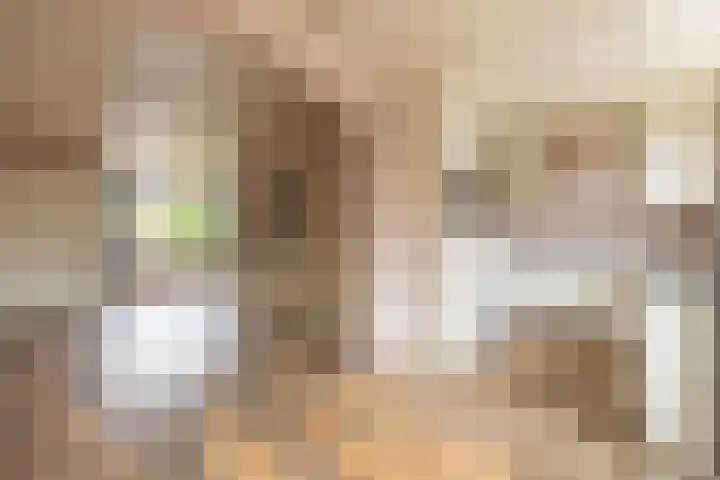 Berkenlaan 172 Zundert thumbnail 11