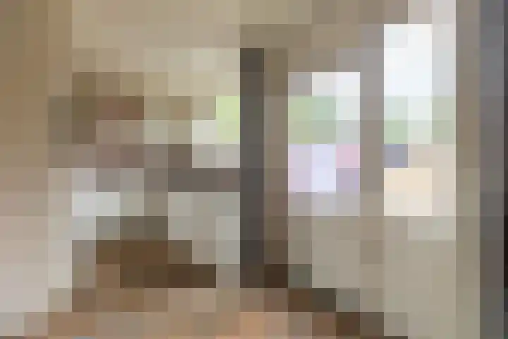 Berkenlaan 172 Zundert thumbnail 12
