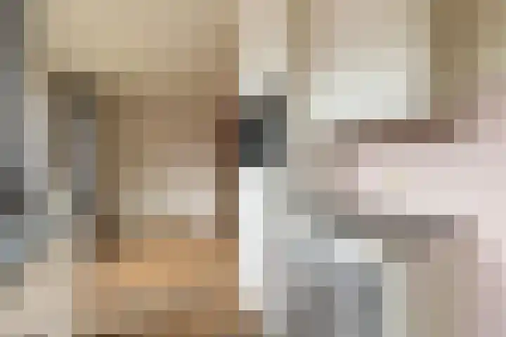 Berkenlaan 172 Zundert thumbnail 13