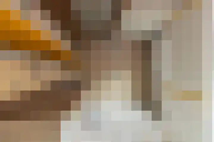 Berkenlaan 172 Zundert thumbnail 30