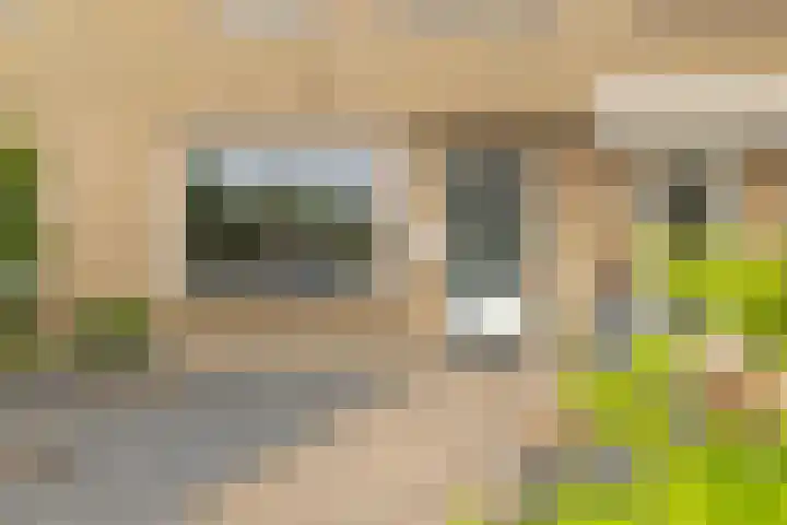 Berkenlaan 172 Zundert thumbnail 31