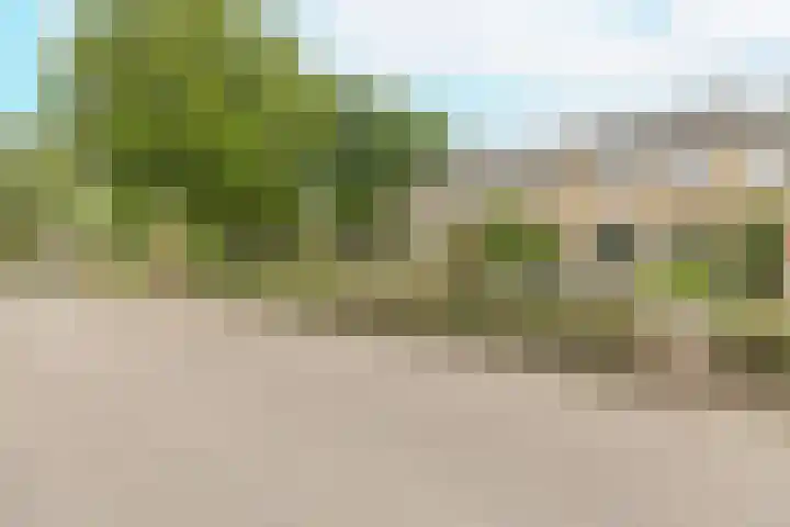 Berkenlaan 172 Zundert thumbnail 32
