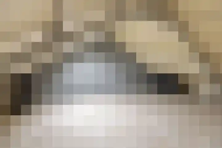 Berkenlaan 172 Zundert thumbnail 6