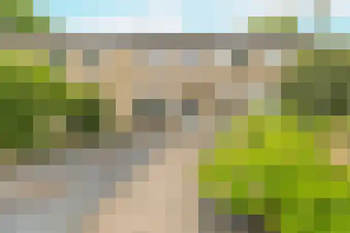 Berkenlaan 172 Zundert thumbnail 7