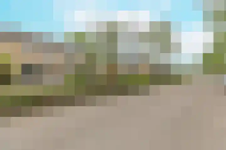 Berkenlaan 172 Zundert thumbnail 8