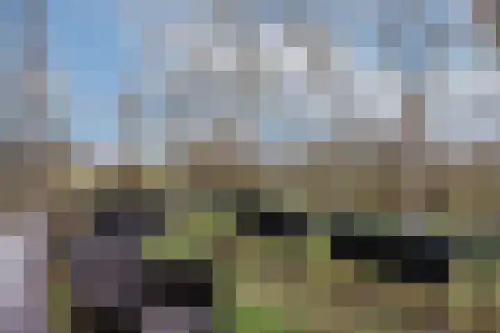 Berkenlaan 175 Zutphen thumbnail 10