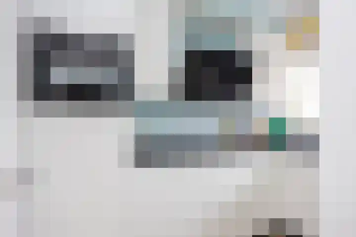 Berkenlaan 175 Zutphen thumbnail 11
