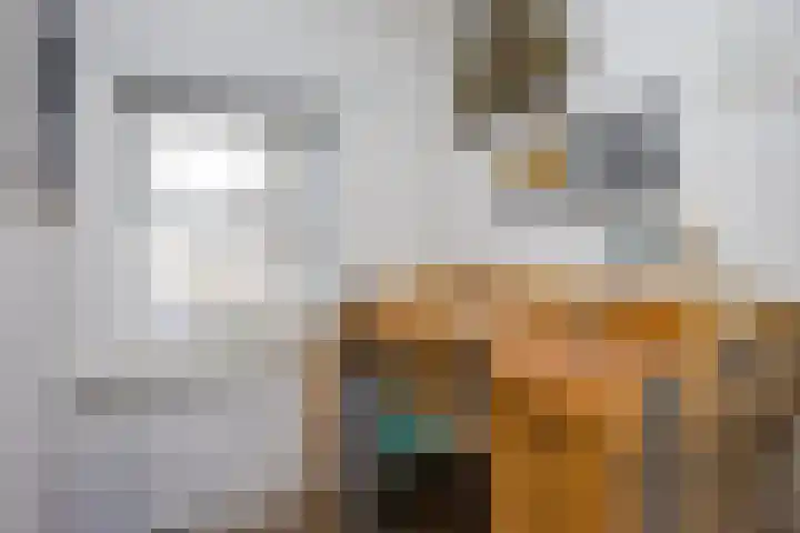 Berkenlaan 175 Zutphen thumbnail 13