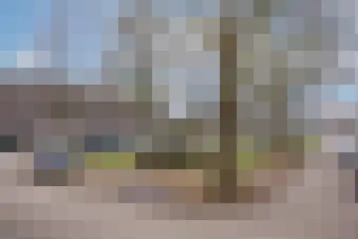 Berkenlaan 175 Zutphen thumbnail 18