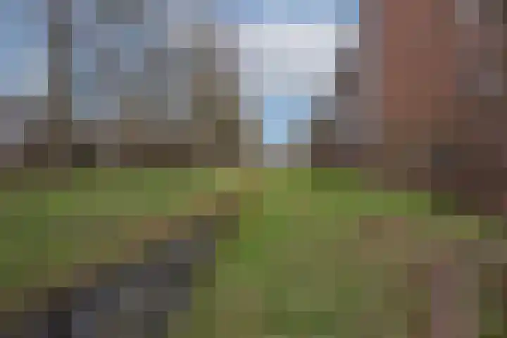 Berkenlaan 175 Zutphen thumbnail 19