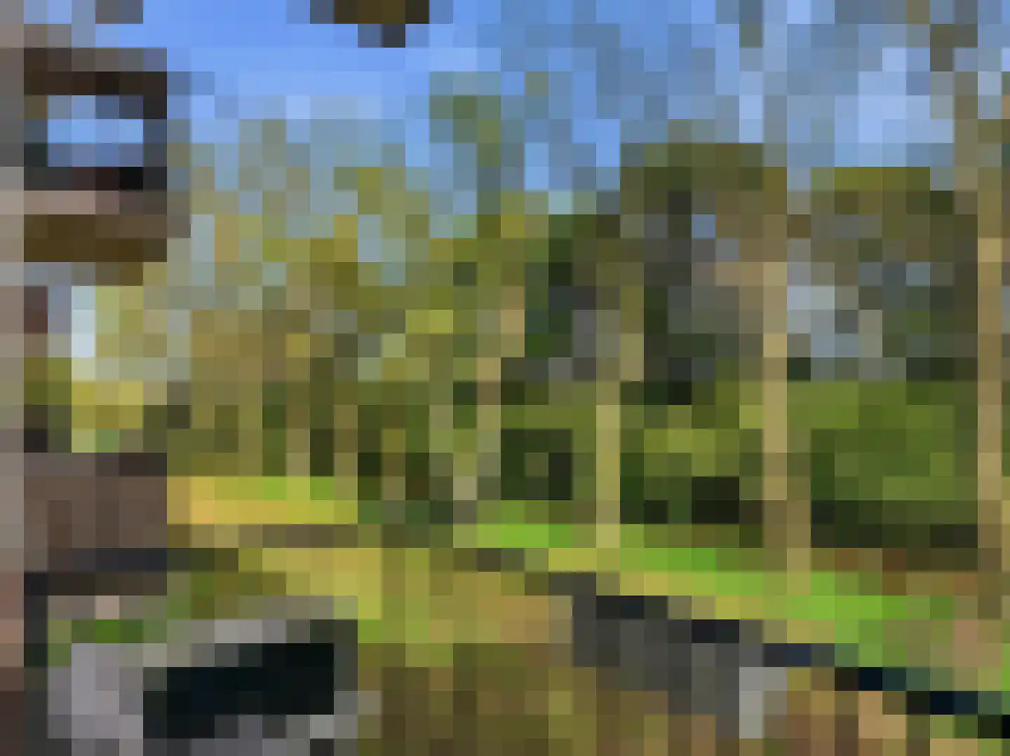 Berkenlaan 179 Zutphen thumbnail 10