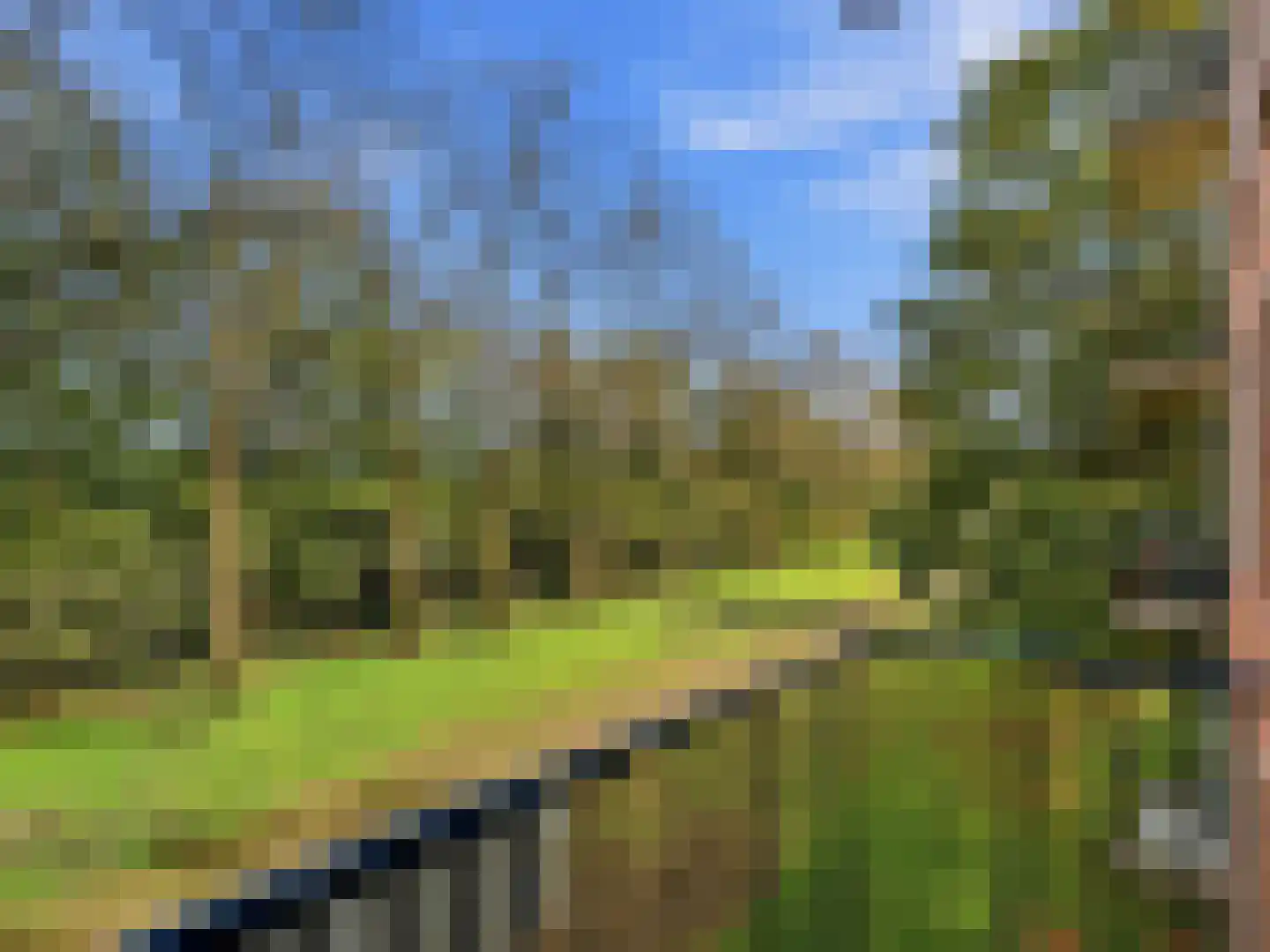 Berkenlaan 179 Zutphen thumbnail 11