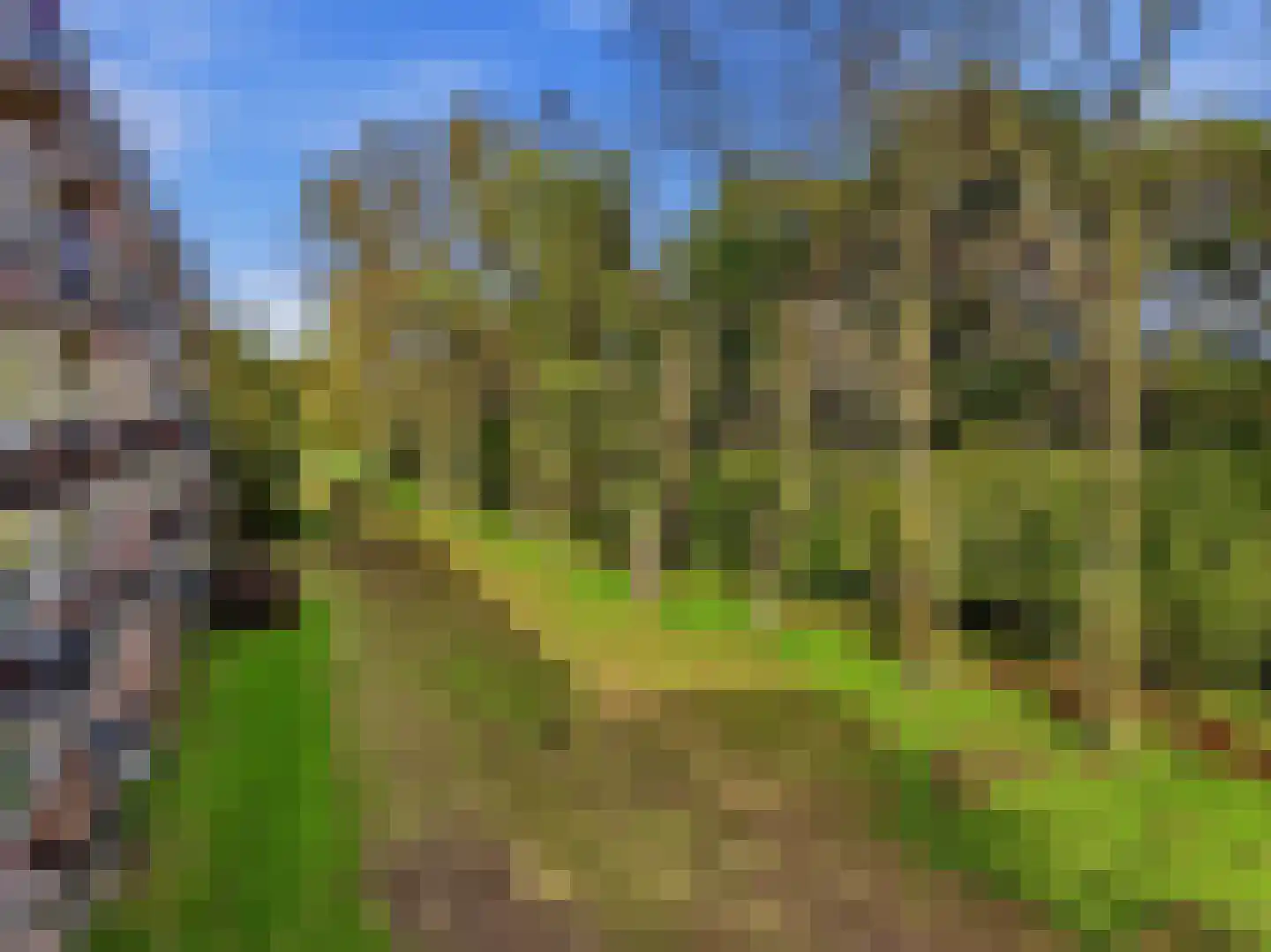 Berkenlaan 179 Zutphen thumbnail 29