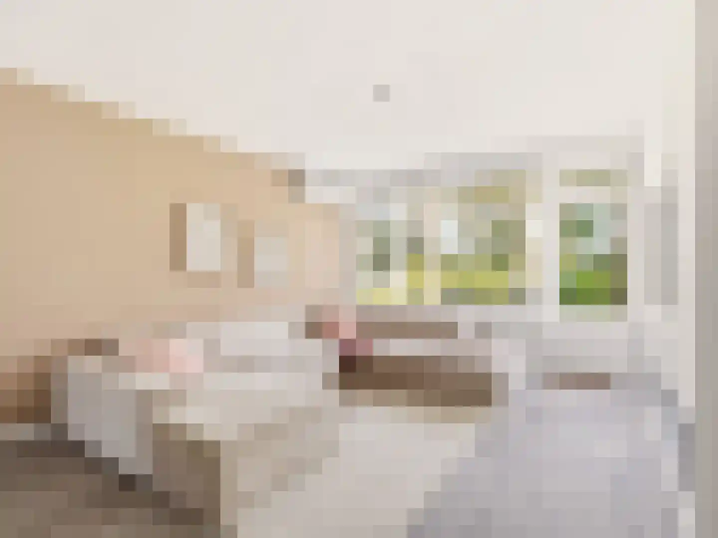 Berkenlaan 179 Zutphen thumbnail 4