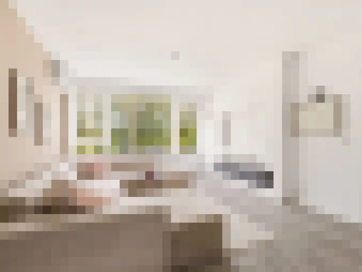 Berkenlaan 179 Zutphen thumbnail 5