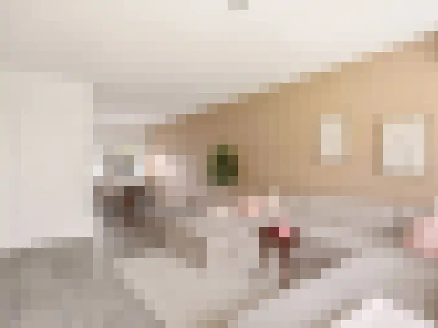 Berkenlaan 179 Zutphen thumbnail 6
