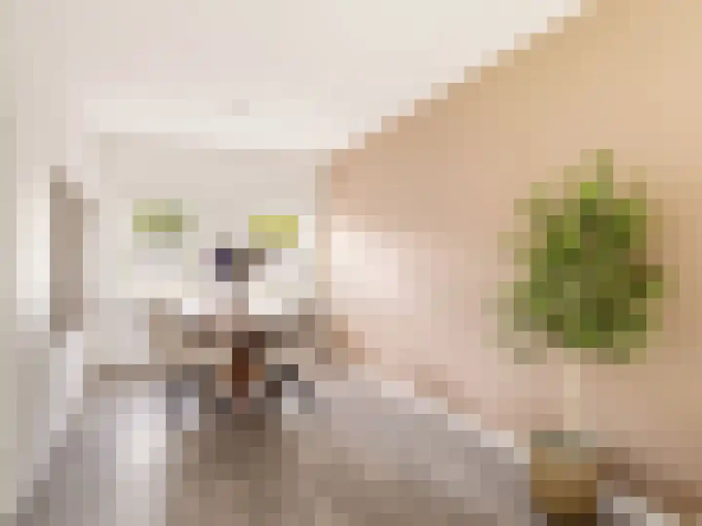 Berkenlaan 179 Zutphen thumbnail 8