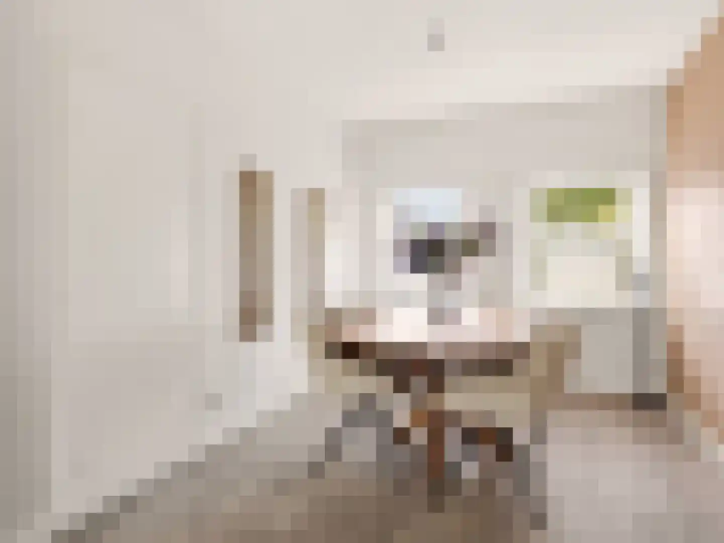 Berkenlaan 179 Zutphen thumbnail 9
