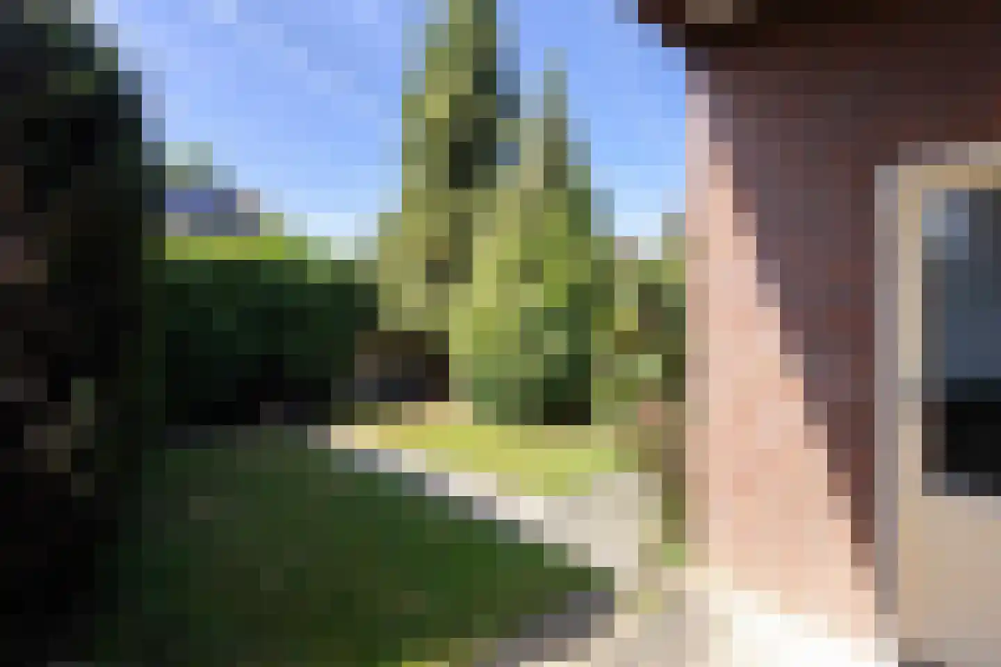 Berkenlaan 18 Bunde thumbnail 29