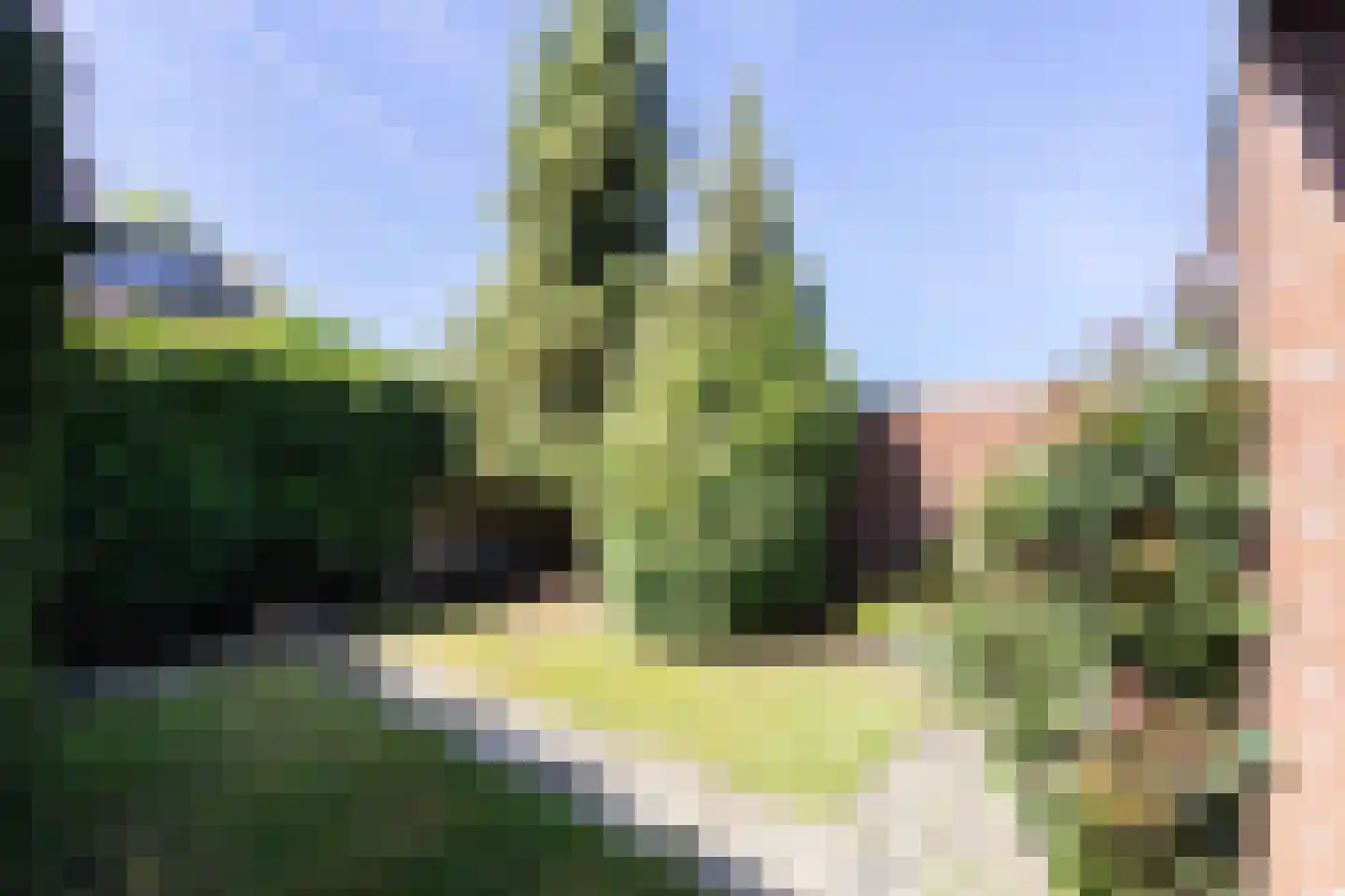 Berkenlaan 18 Bunde thumbnail 30