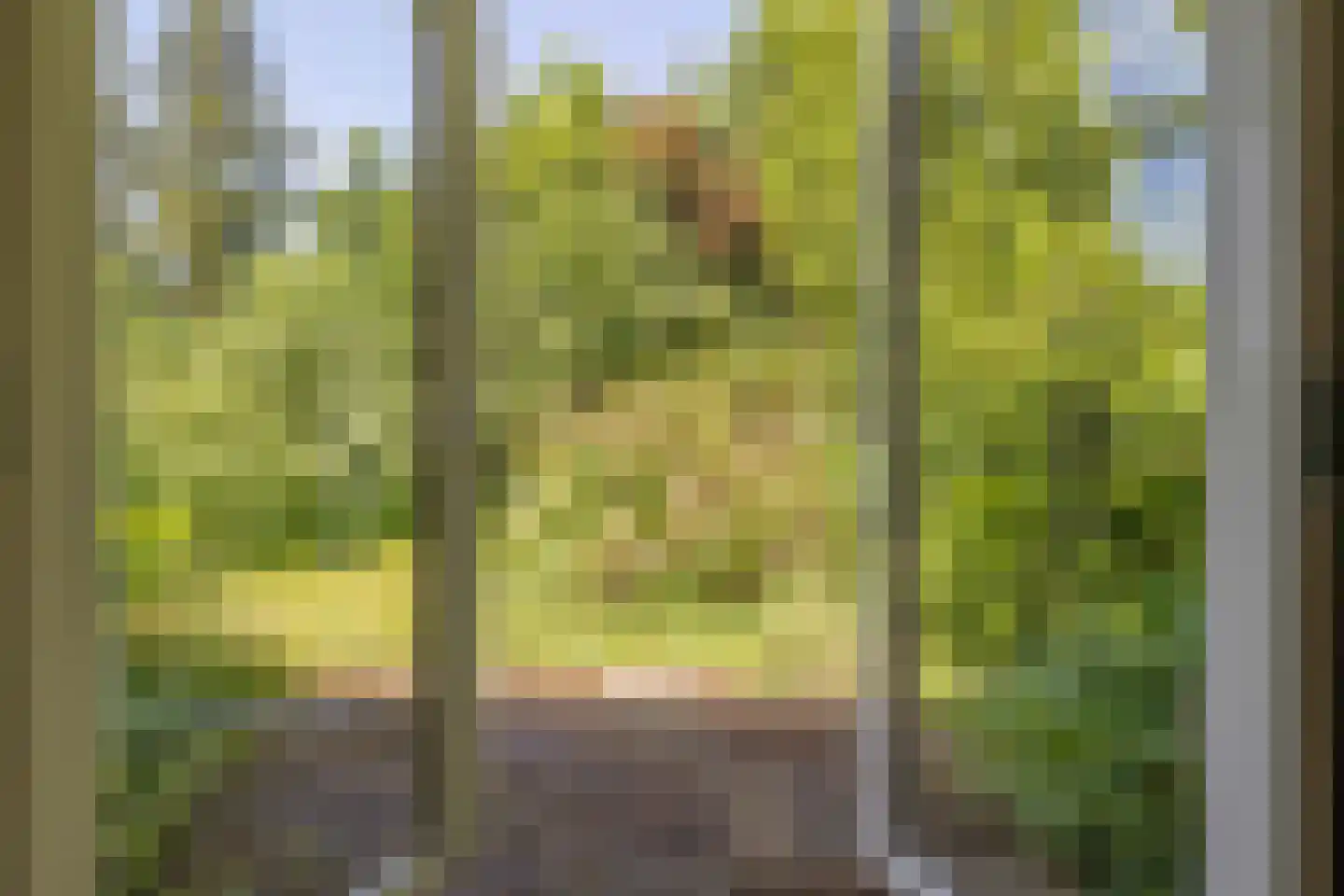 Berkenlaan 18 Schoonebeek thumbnail 11