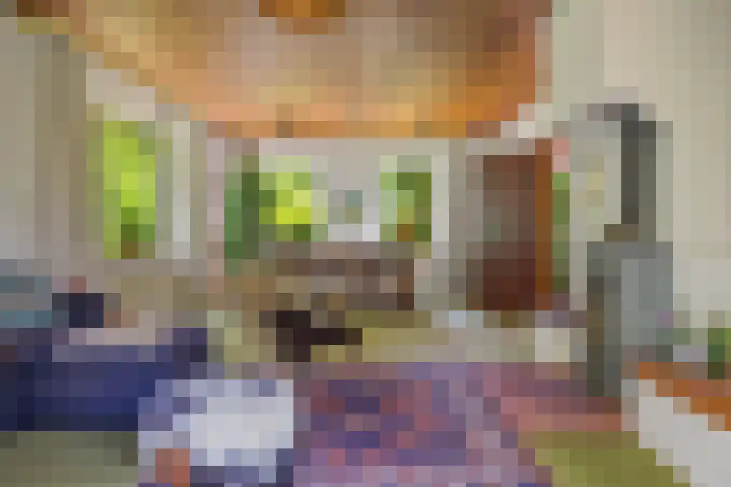 Berkenlaan 18 Schoonebeek thumbnail 13