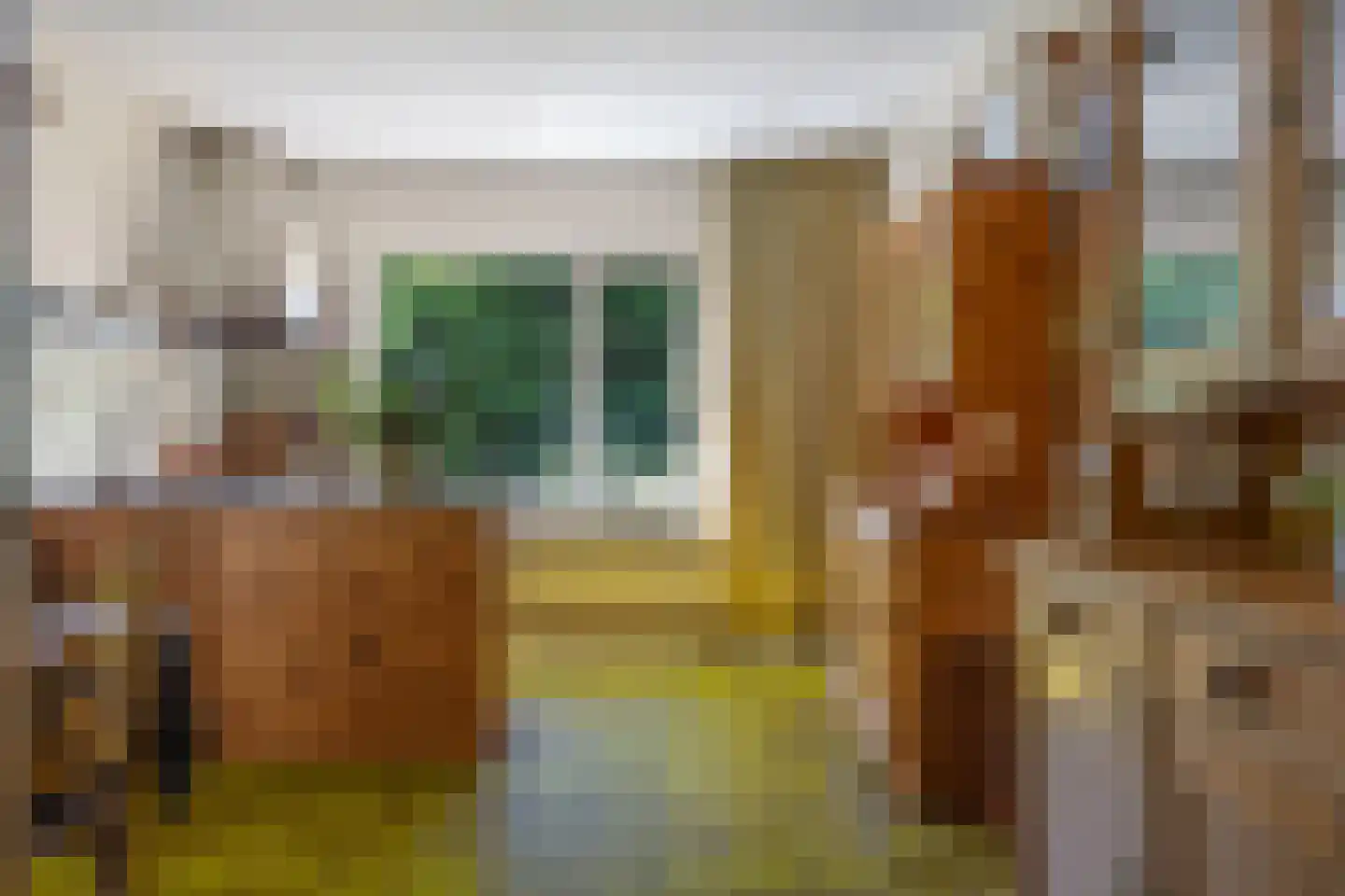 Berkenlaan 18 Schoonebeek thumbnail 15