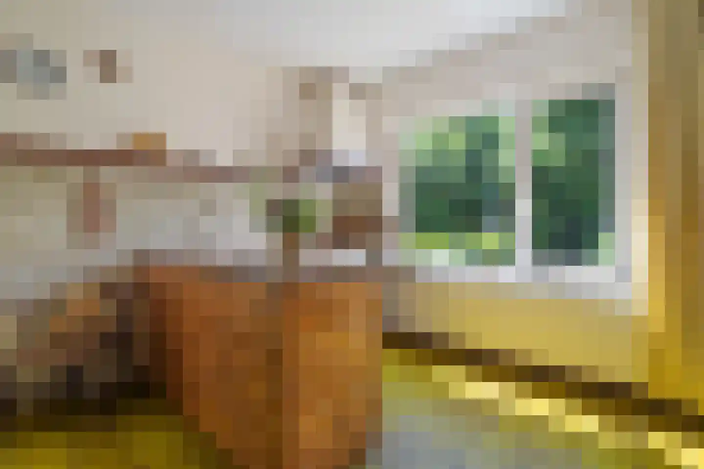 Berkenlaan 18 Schoonebeek thumbnail 17