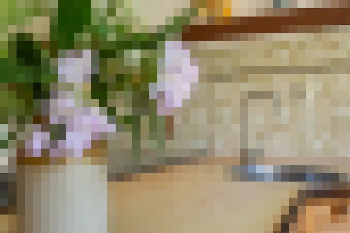 Berkenlaan 18 Schoonebeek thumbnail 18