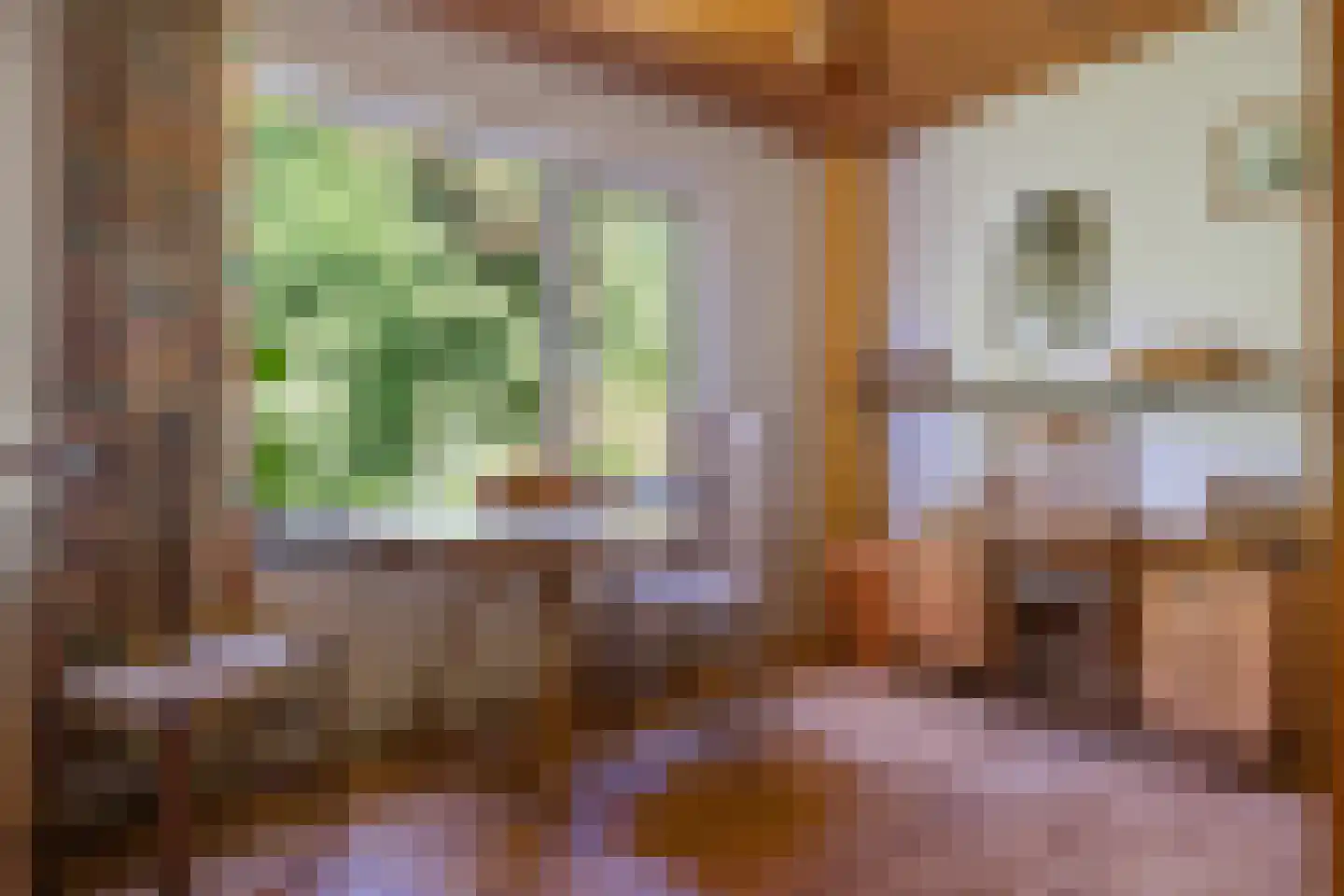 Berkenlaan 18 Schoonebeek thumbnail 20