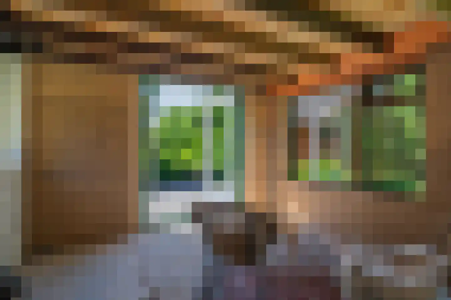 Berkenlaan 18 Schoonebeek thumbnail 26
