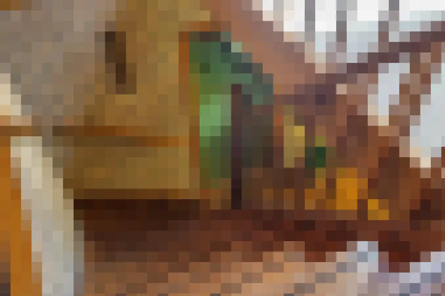 Berkenlaan 18 Schoonebeek thumbnail 28
