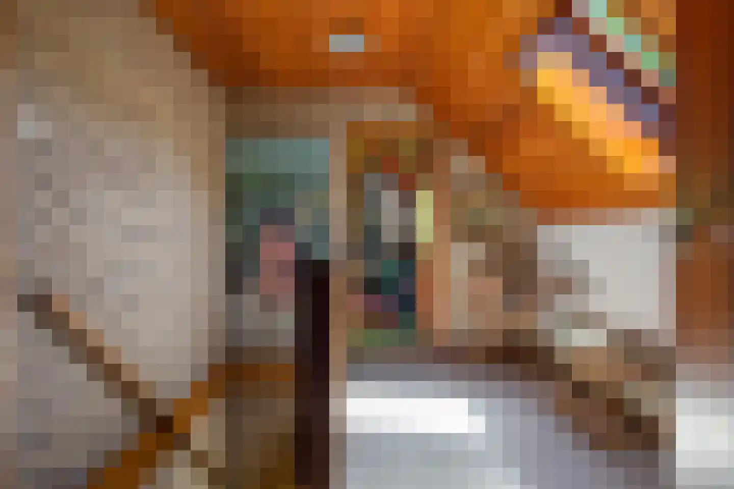 Berkenlaan 18 Schoonebeek thumbnail 29