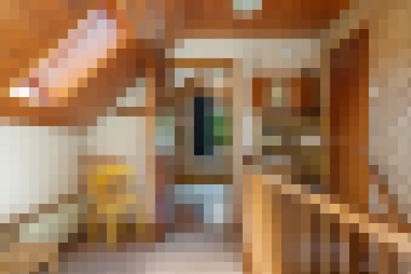 Berkenlaan 18 Schoonebeek thumbnail 32