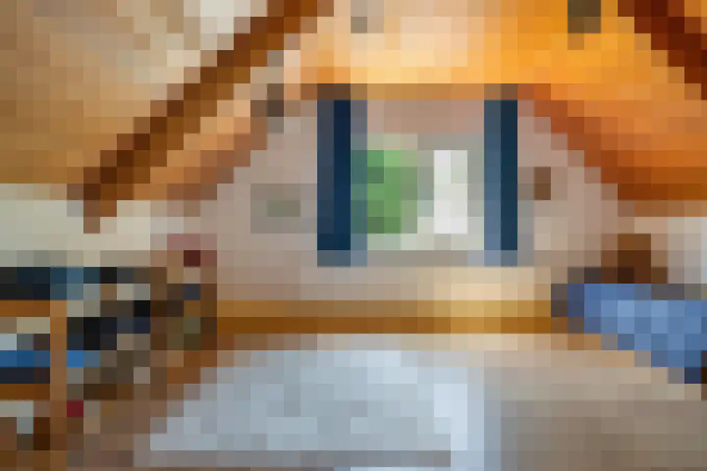 Berkenlaan 18 Schoonebeek thumbnail 33