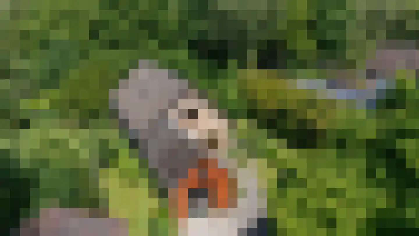 Berkenlaan 18 Schoonebeek thumbnail 37