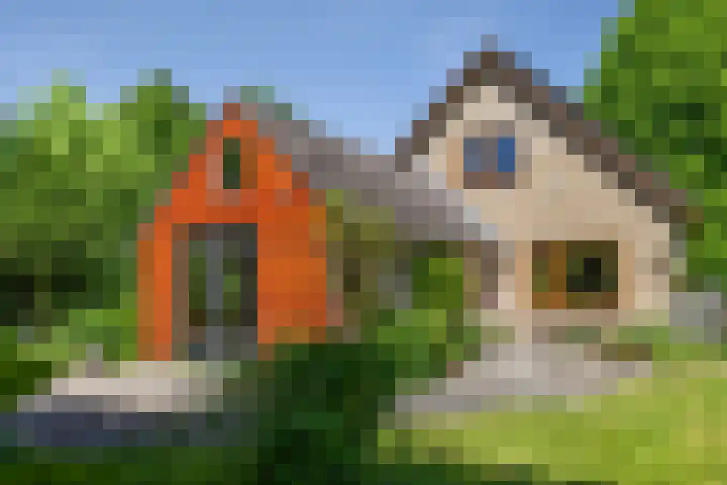 Berkenlaan 18 Schoonebeek thumbnail 38