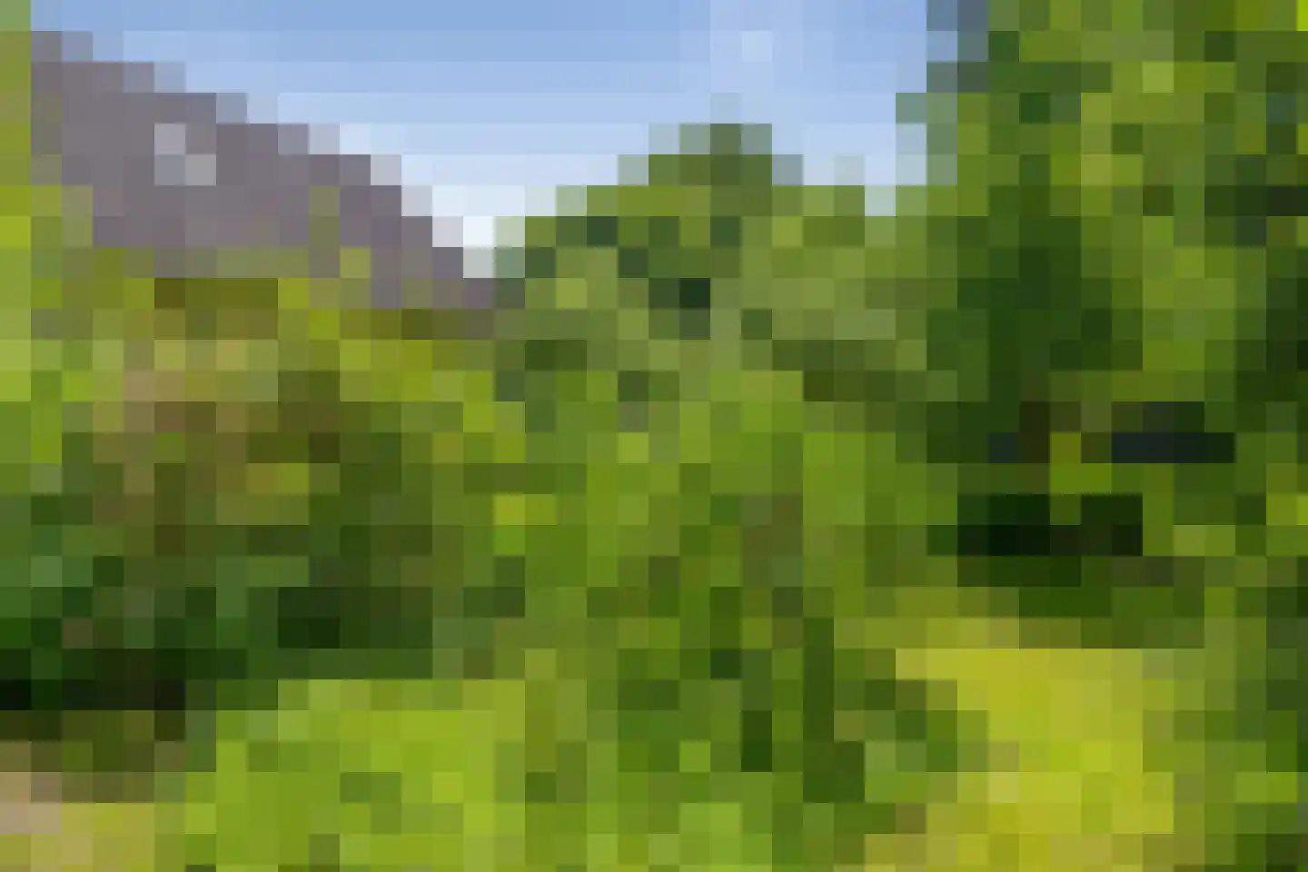 Berkenlaan 18 Schoonebeek thumbnail 44
