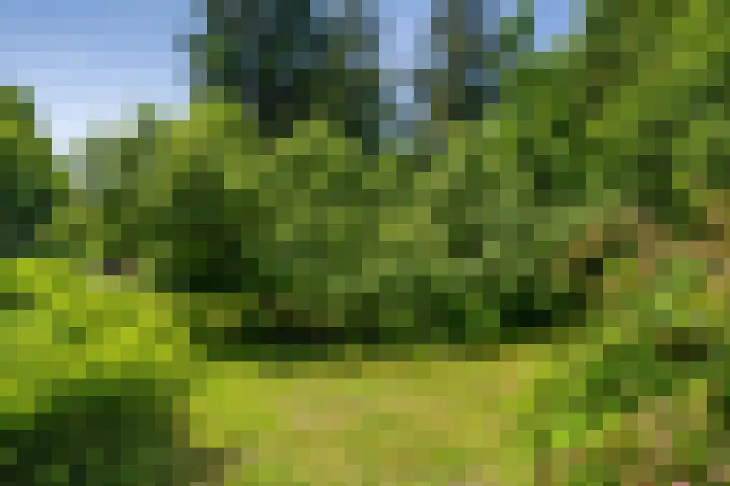 Berkenlaan 18 Schoonebeek thumbnail 45