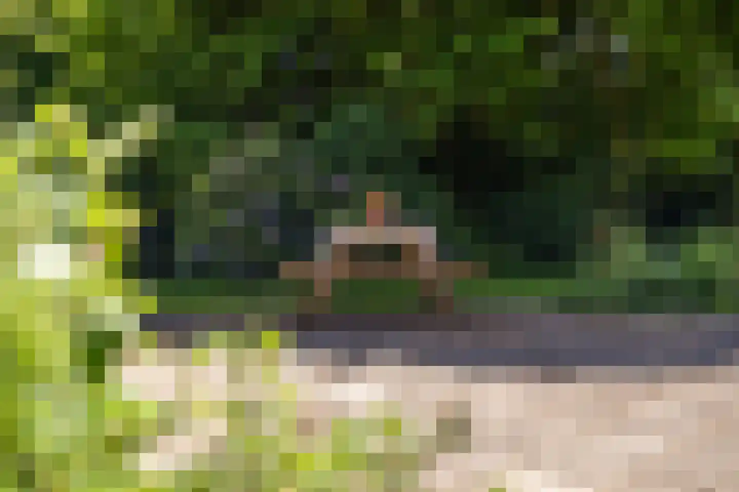 Berkenlaan 18 Schoonebeek thumbnail 47